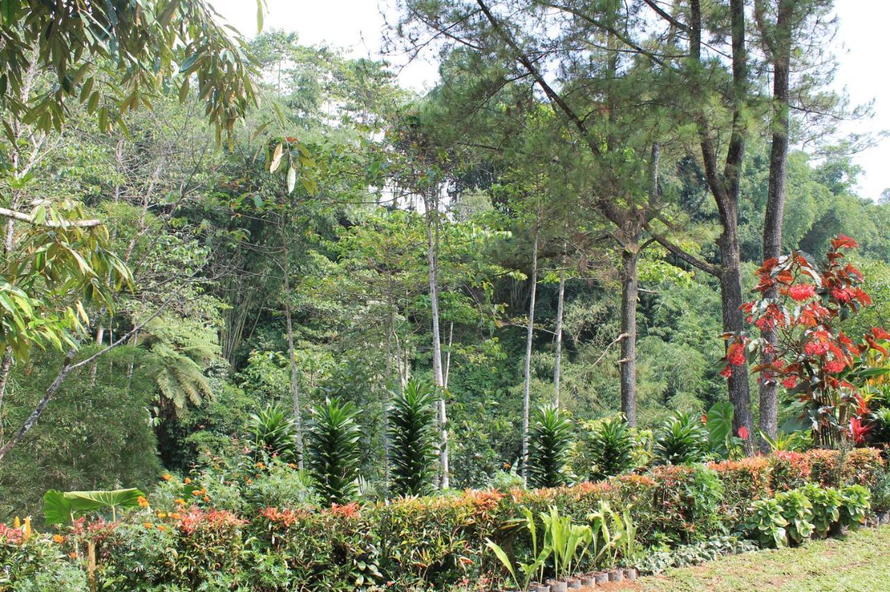The Forest Villa Bogor Bagian luar foto