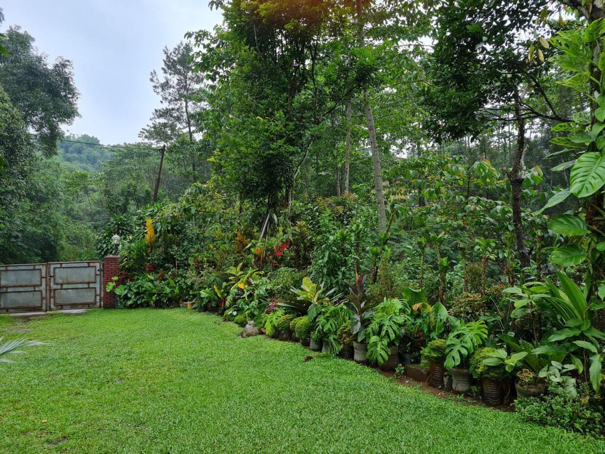 The Forest Villa Bogor Bagian luar foto